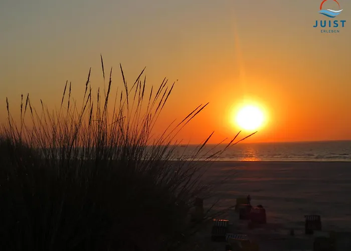 Appartement Haus Insa 145 - Elf Juist